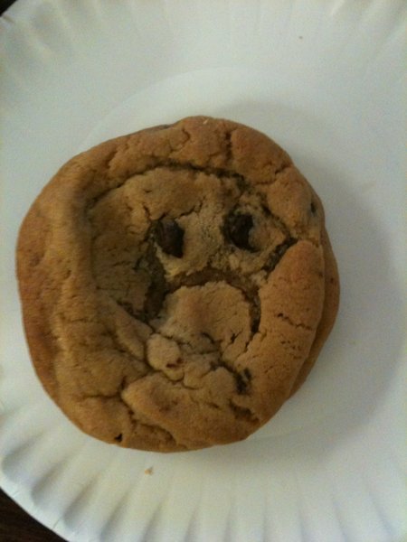 Sad Cookie.jpg