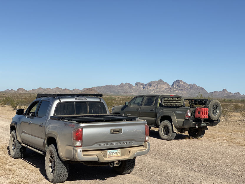 saddlemtn_trks.jpg