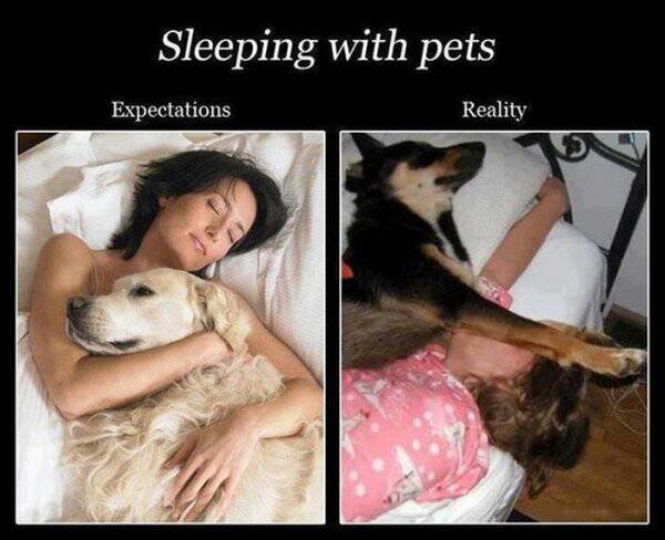 sadly_expectations_rarely_match_up_with_reality_30_photos15_1418499144.jpg