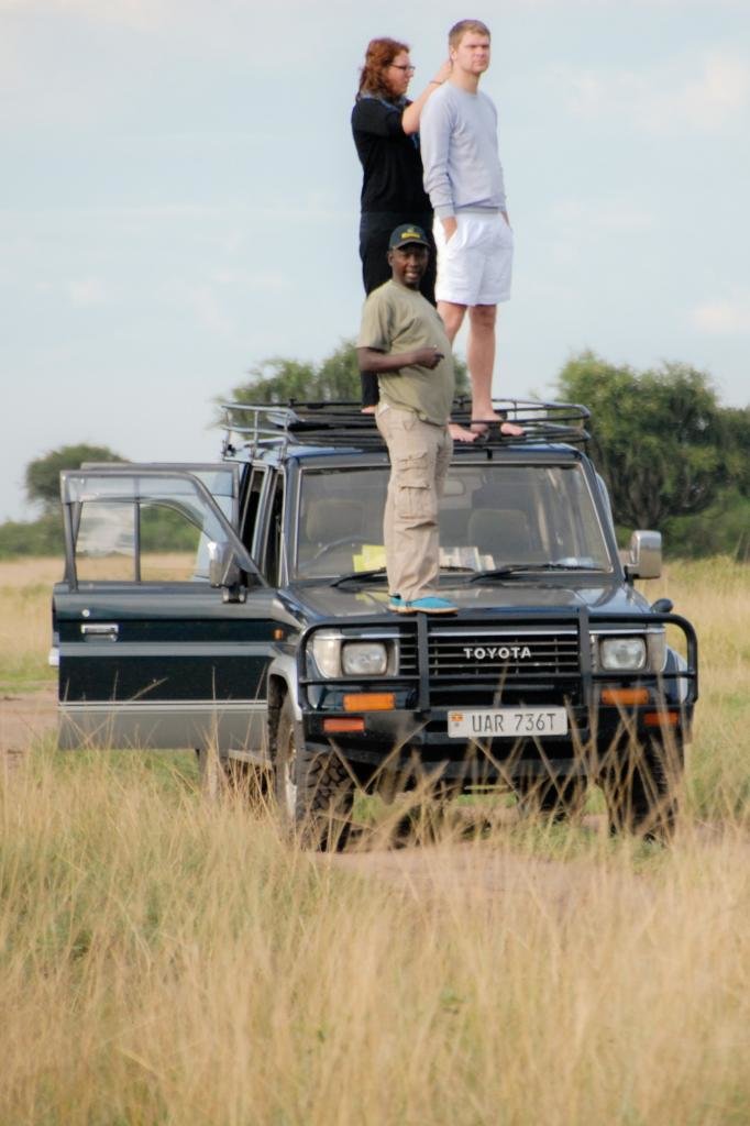 safarishot_zps28b6f51b_8536f1e4f208bef9c26226919ab4ac2d84e265af.jpg