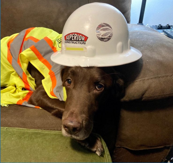 Safety Week.jpg