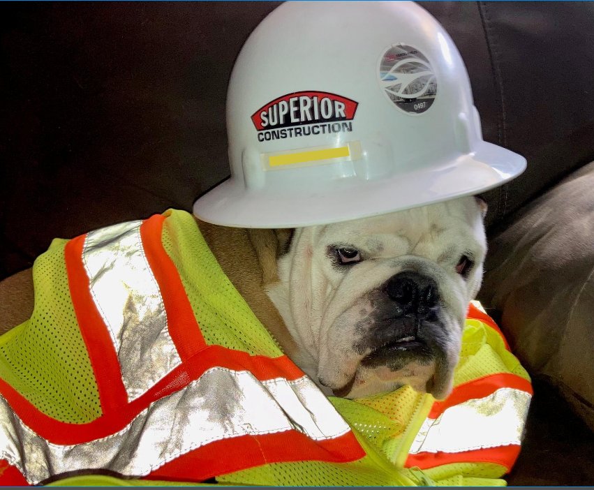 Safety Week1.jpg