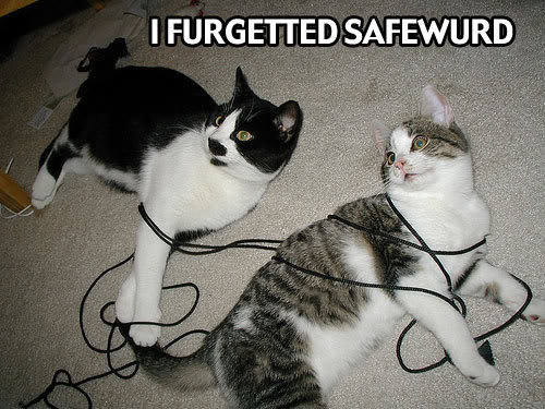 safewurd_c8945647fe1edef905957c620104854930f225d9.jpg