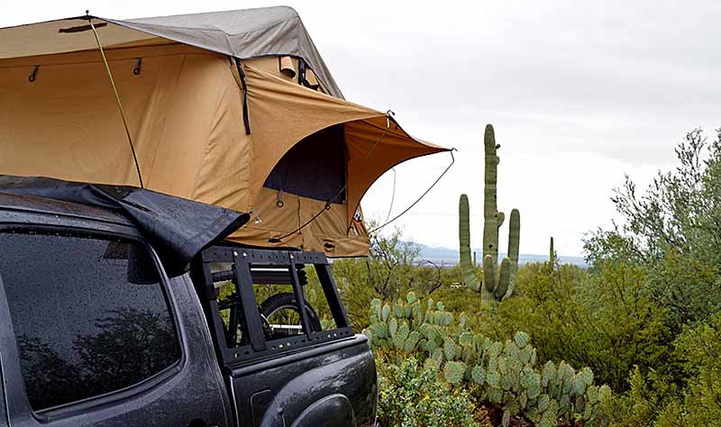 saguaro_tent.jpg