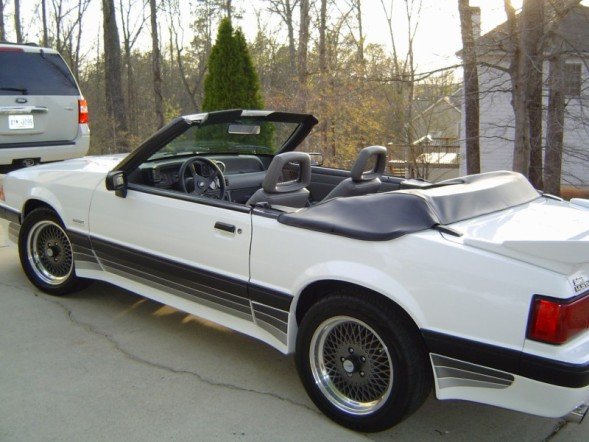 Saleen6.jpg
