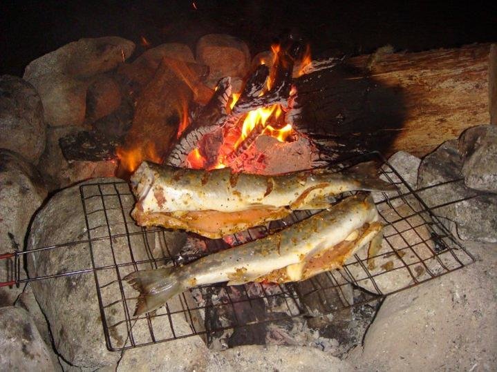 salm.jpg