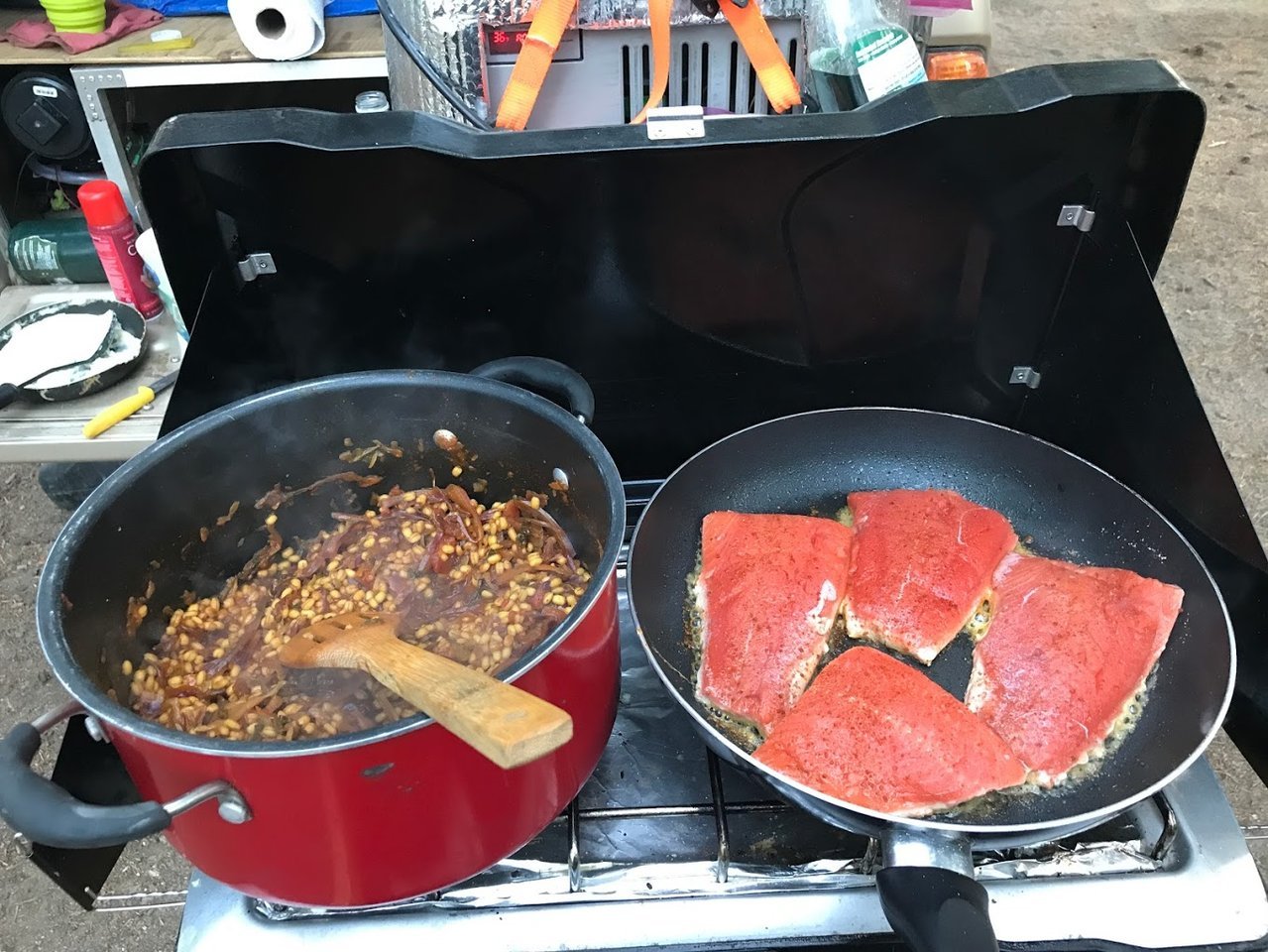 Salmon 1.jpg