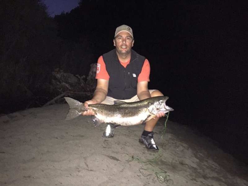 Salmon.jpg