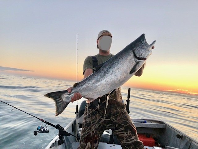 salmon.jpg
