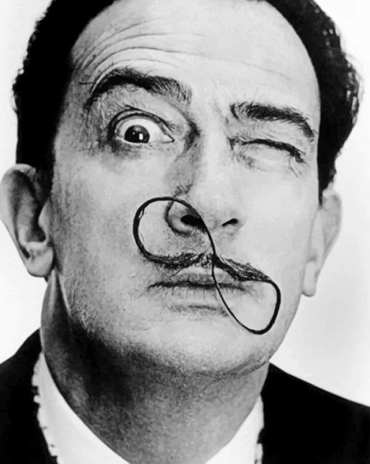 salvador-dali-infinity-mustache-paint-by-numbers.jpg