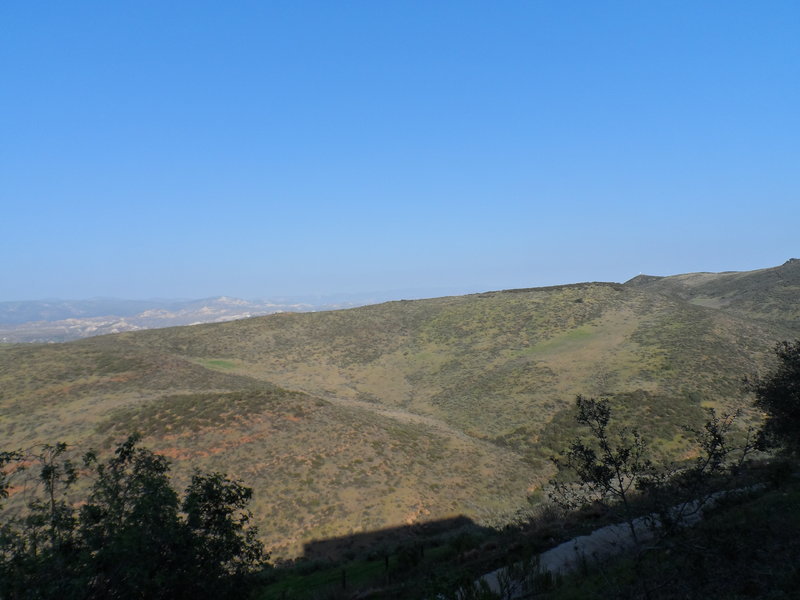 SAM_0146.jpg
