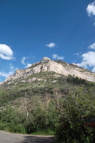 SAM_0978.jpg