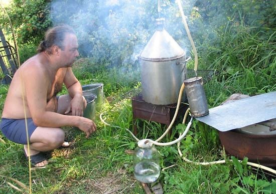 samogon_looking.jpg