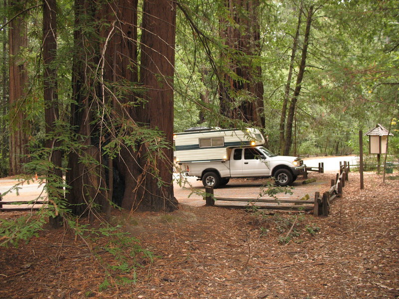 San Fracisco-Ave of the Giants 048.jpg