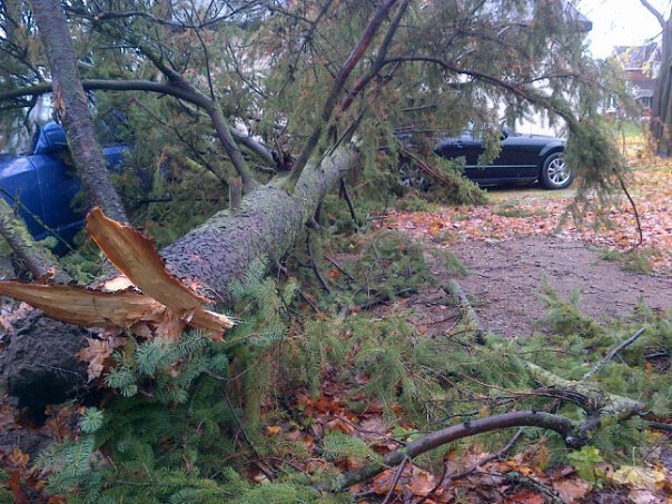 sandy3.jpg