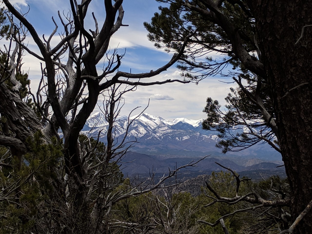 Sangre de Cristo Mountains 4.jpg