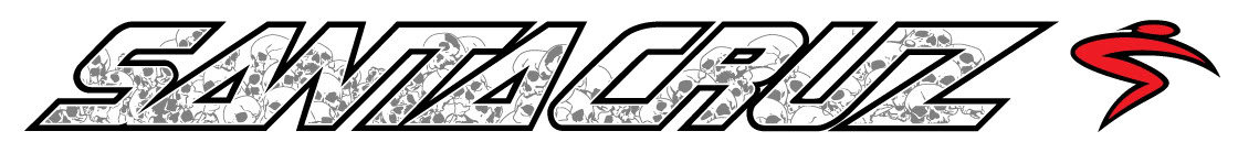 Santa-Cruz-logo-skul-pile_447580fce2d36da6b2fac131f8fa3100a4769a92.jpg