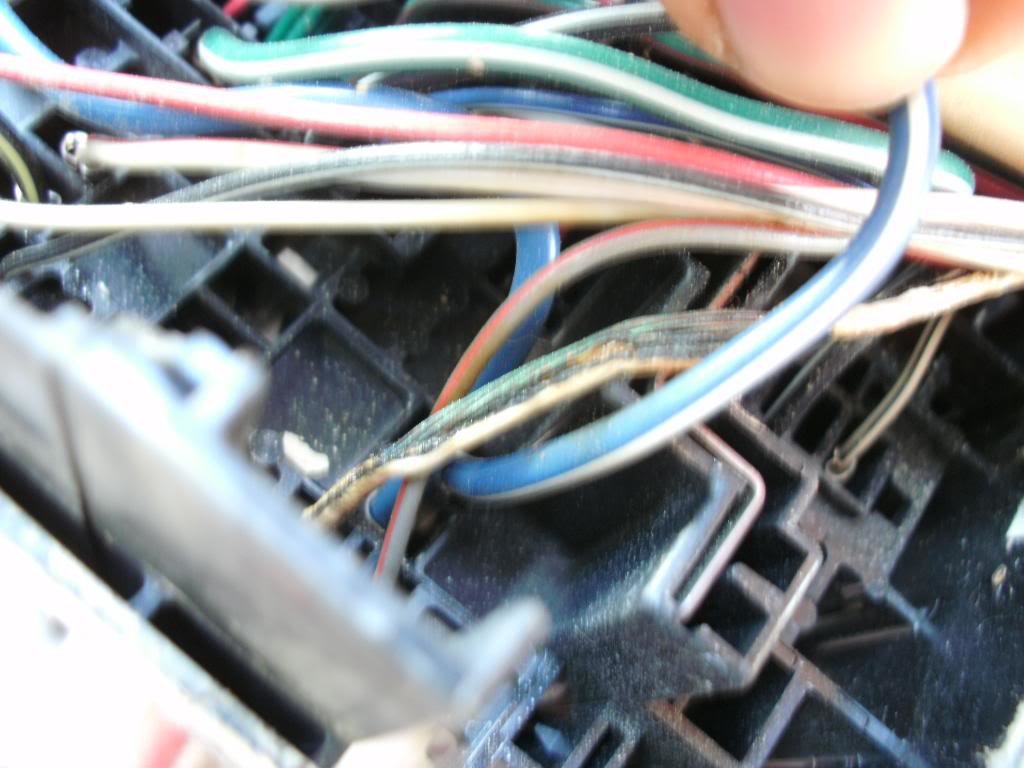 SANY0116_1c7961673fea984992101c69b979115307b3a4cb.jpg