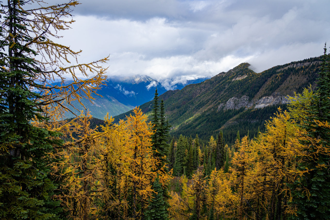 SAP_Colossal_190924-59.jpg
