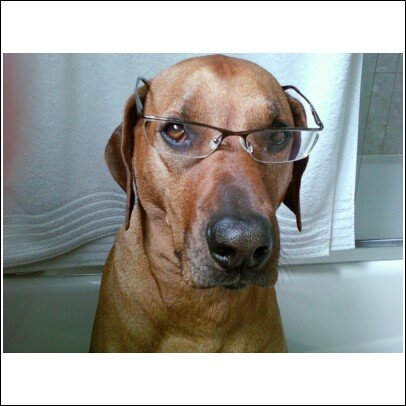 Sasha Glasses 2.jpg
