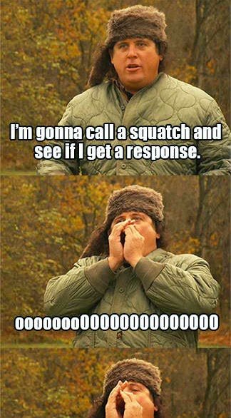 sasquatch1.jpg