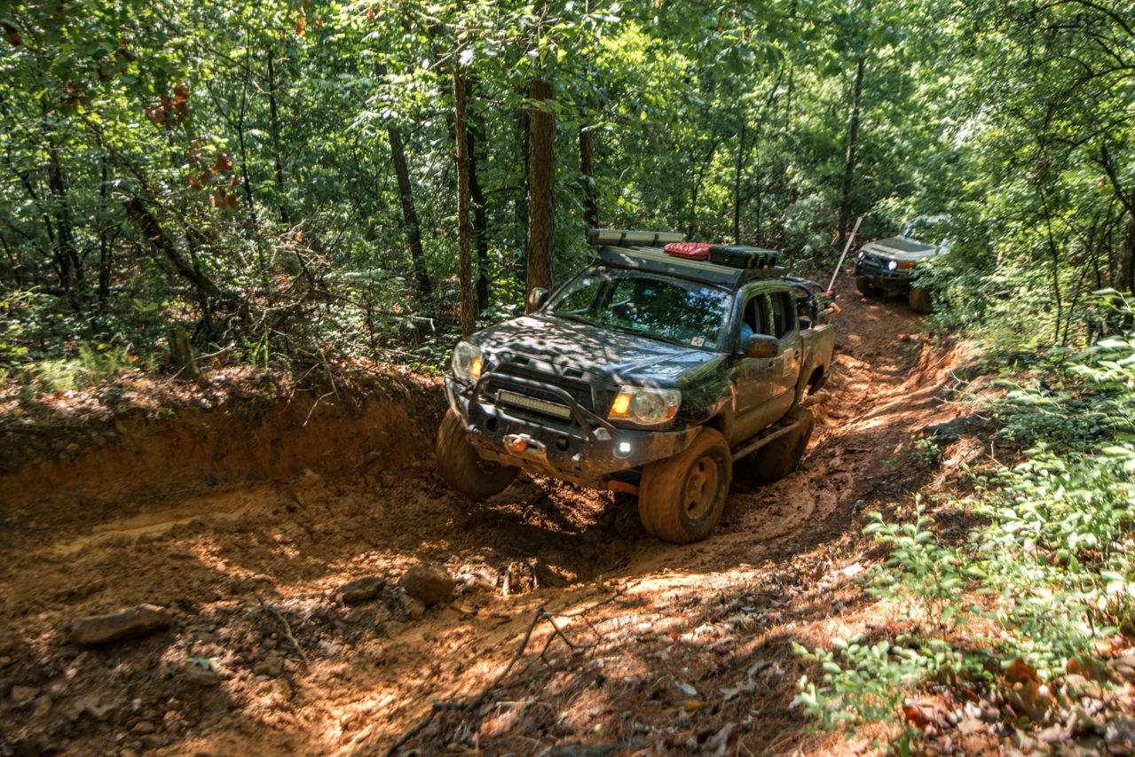 Saturday0900hrsYellow3 (22).jpg
