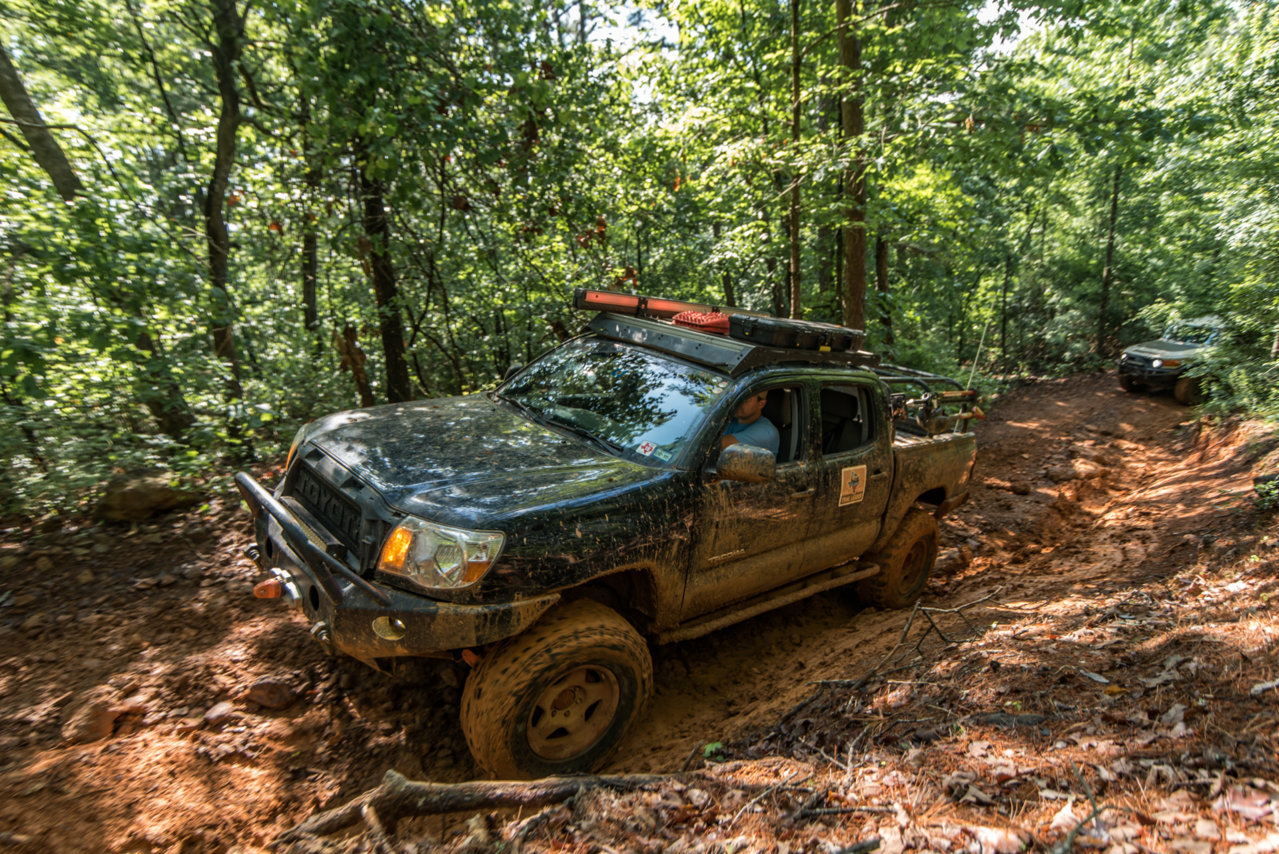 Saturday0900hrsYellow3 (23).jpg