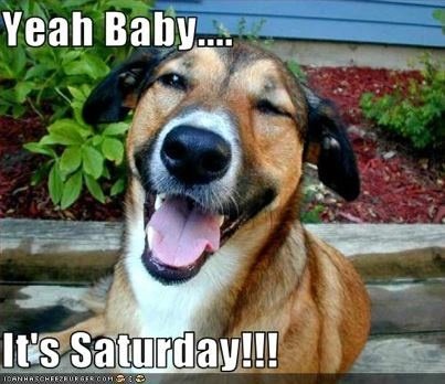 Saturday1.jpg