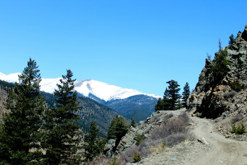 SaxonMtnSpringCr5-8-11-24_045f245180e708969b430248b89d020ea6273c38.jpg