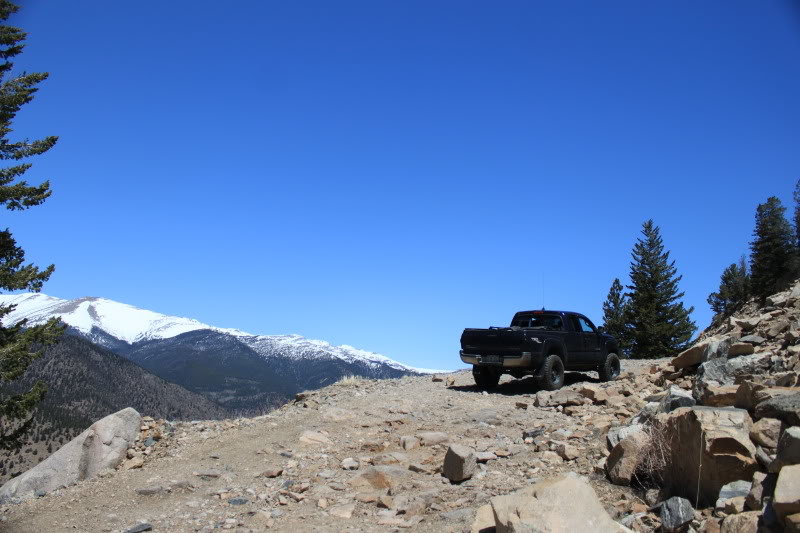 SaxonMtnSpringCr5-8-11-26_3e597b5a85b58571df67004f24d8b3f147f86dd0.jpg