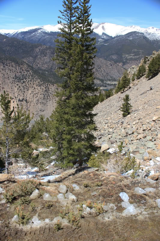 SaxonMtnSpringCr5-8-11-59_4af3b81f2ef6e6bd539953287ea0ef2d8ec70259.jpg