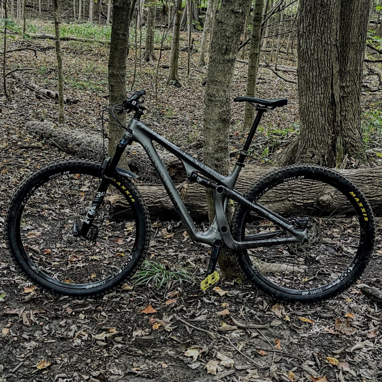 sb115yeti.jpg