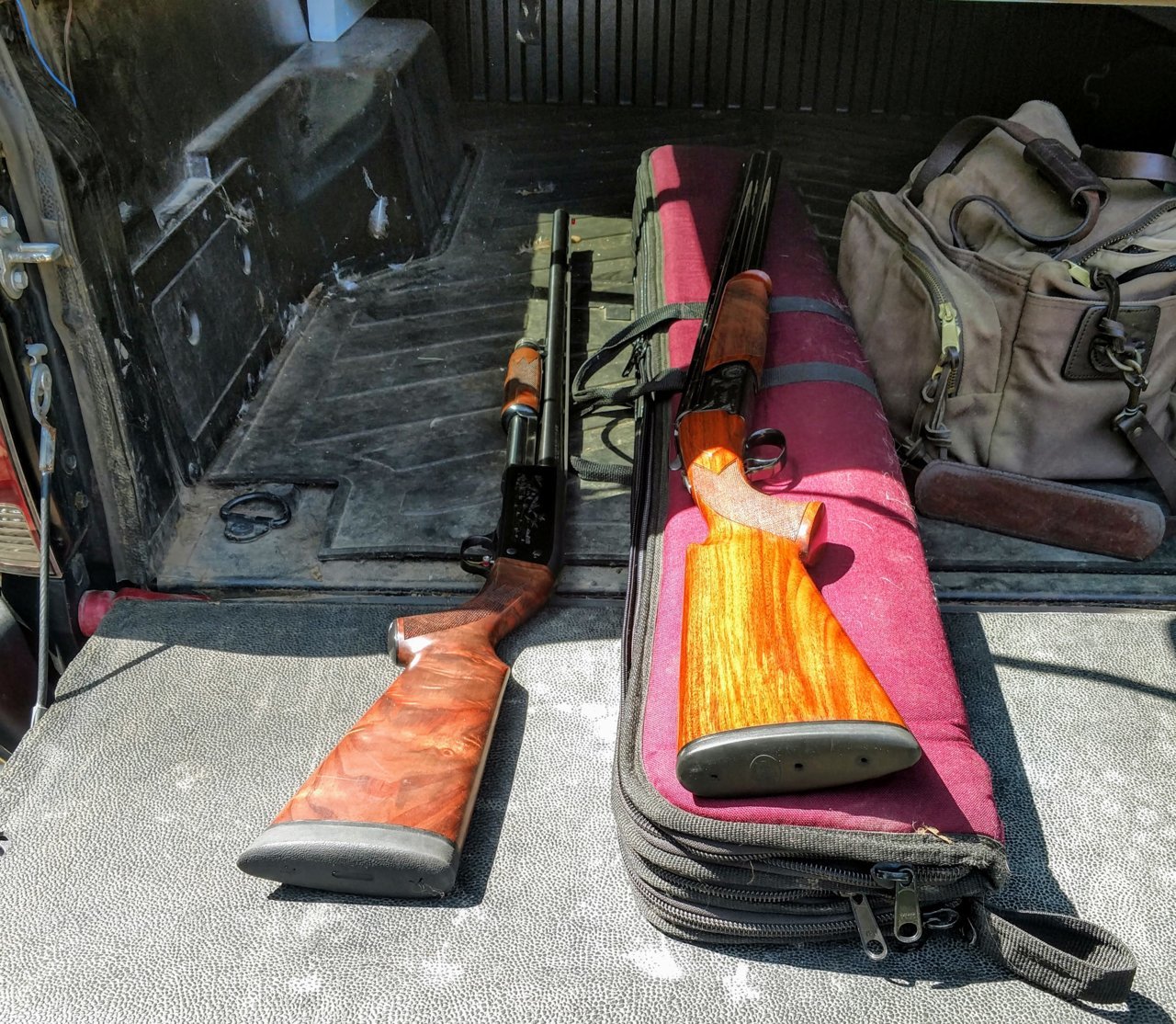 SC guns.jpg