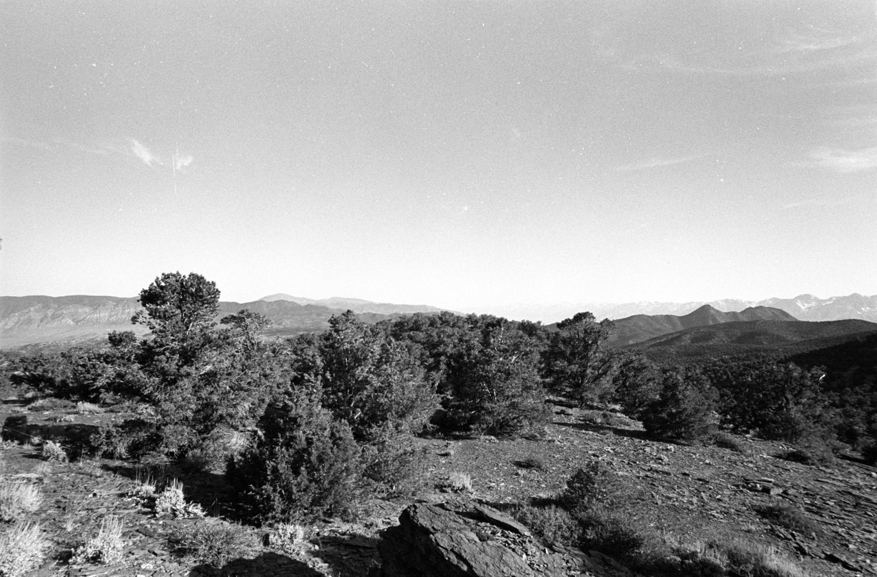 Scan-190802-0003.jpg
