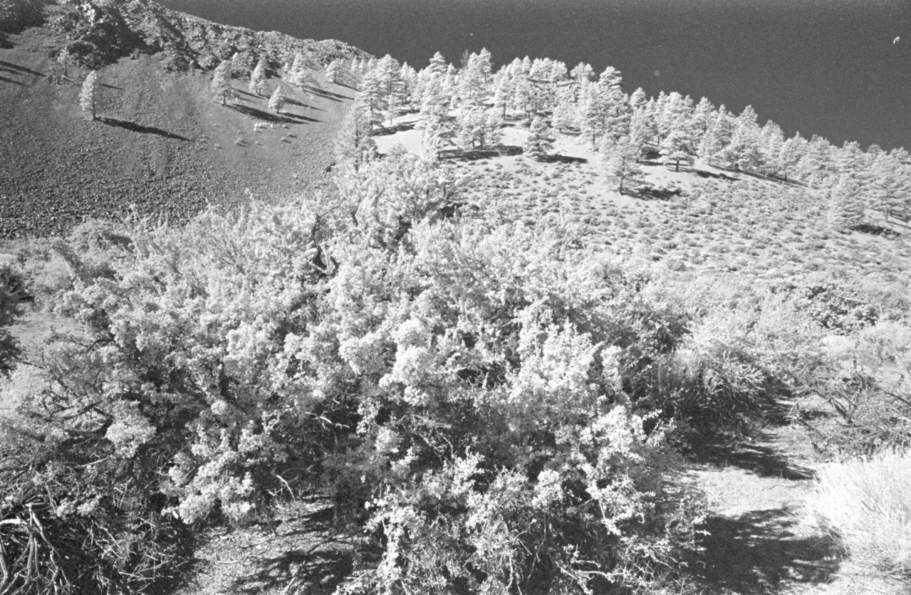 Scan-201021-0009.jpg