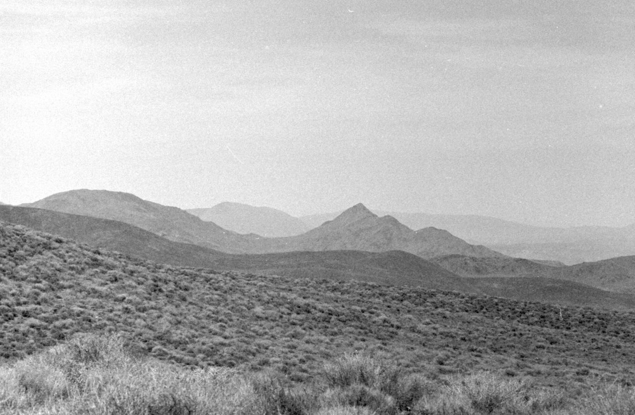 Scan-210417-0014.jpg