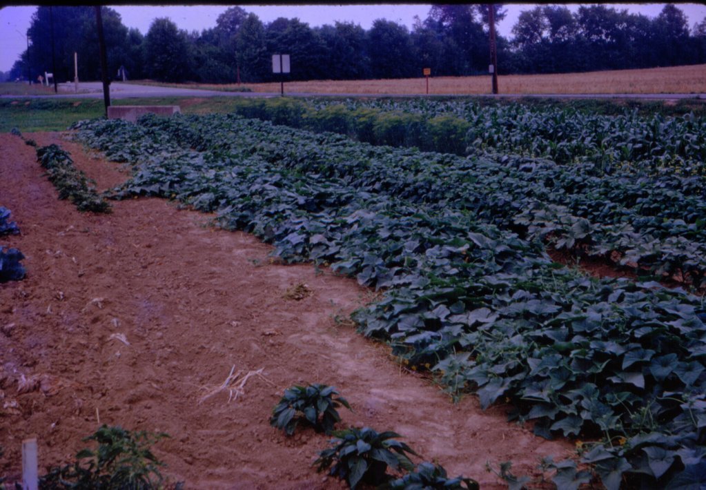 scan0230.jpg