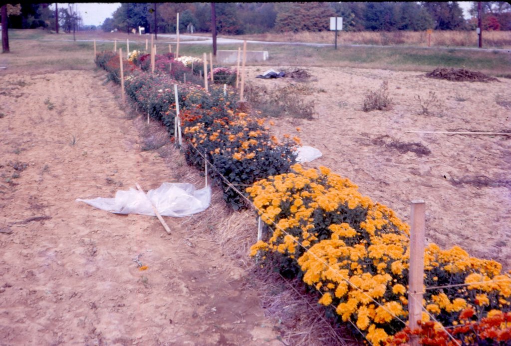 scan0234.jpg