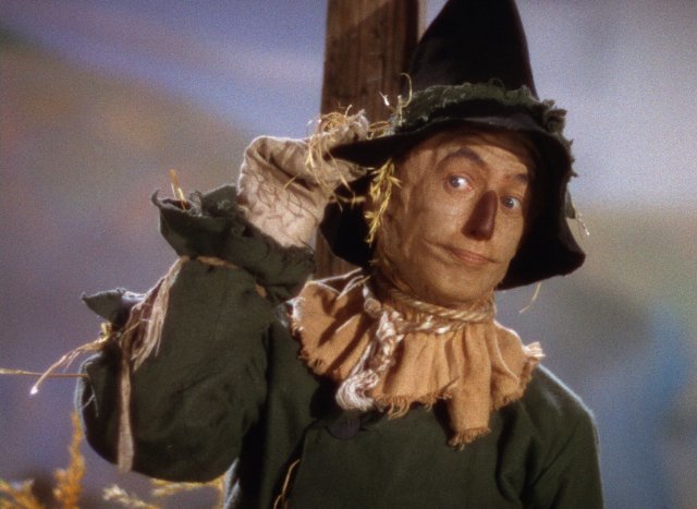 scarecrow-in-field.jpg