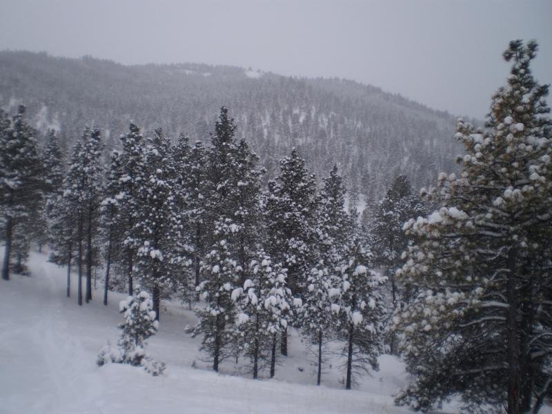 scenery_zpsec7c22ec_b7db22af8e4239132cd8b1b959006073f98b52d2.jpg