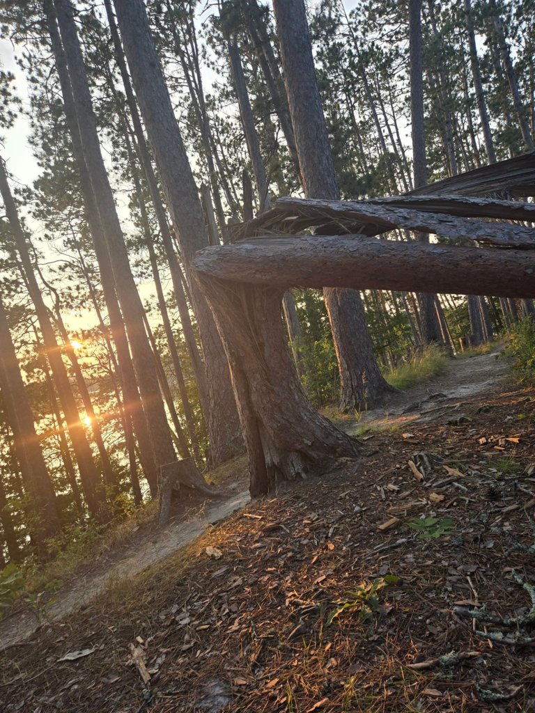 scenic state park (19).jpg