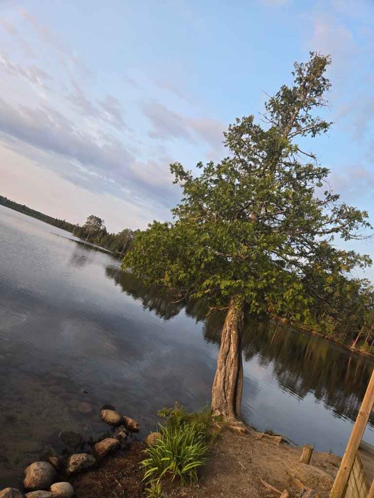 scenic state park (29).jpg