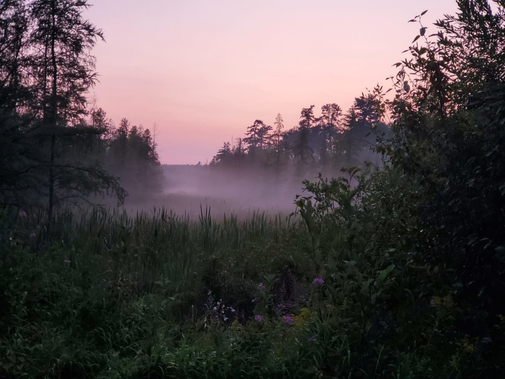 scenic state park (39).jpg