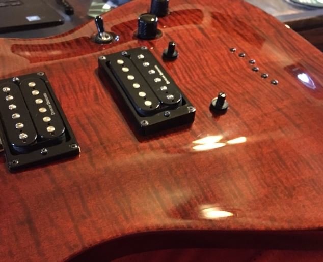 schecter2.jpg
