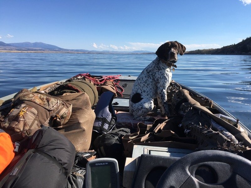 Schnitzel in boat.jpg