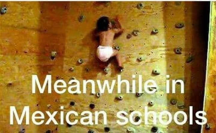 schools.jpg