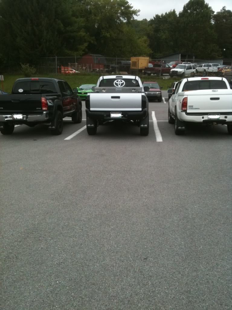 SchoolTrucksedit_f12e6c79b71a8aab474957744dff6a3f0cb3edf4.jpg