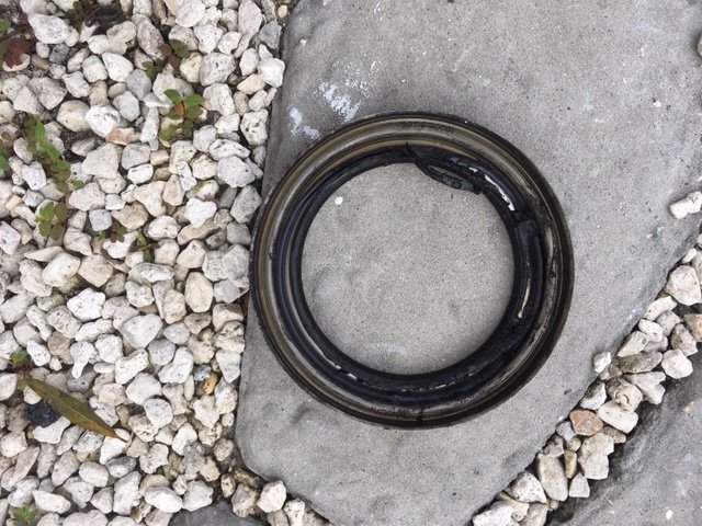 schut seal.jpg