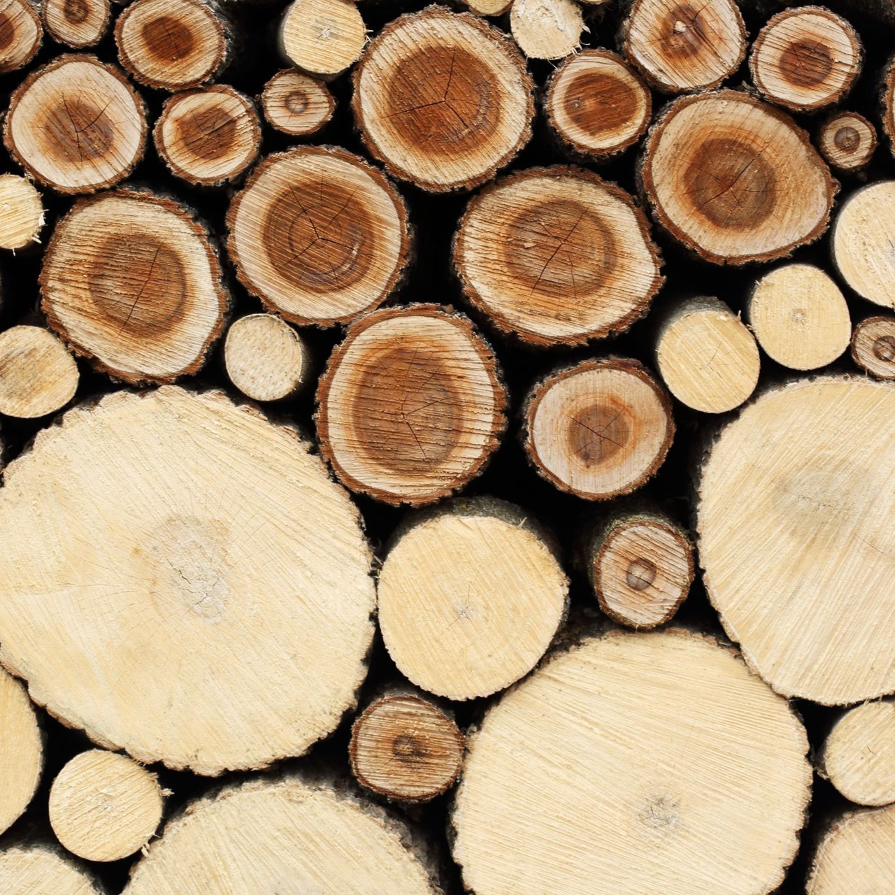 Science_wood_1136989911.jpg