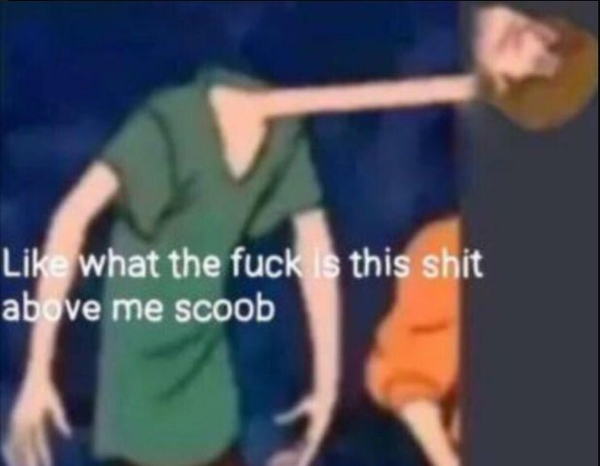 Scooby-ShaggyResponse.jpg